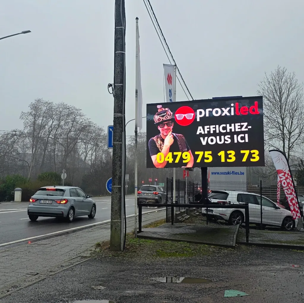 Campagne in Braine-l'Alleud (Suzuki Flies)